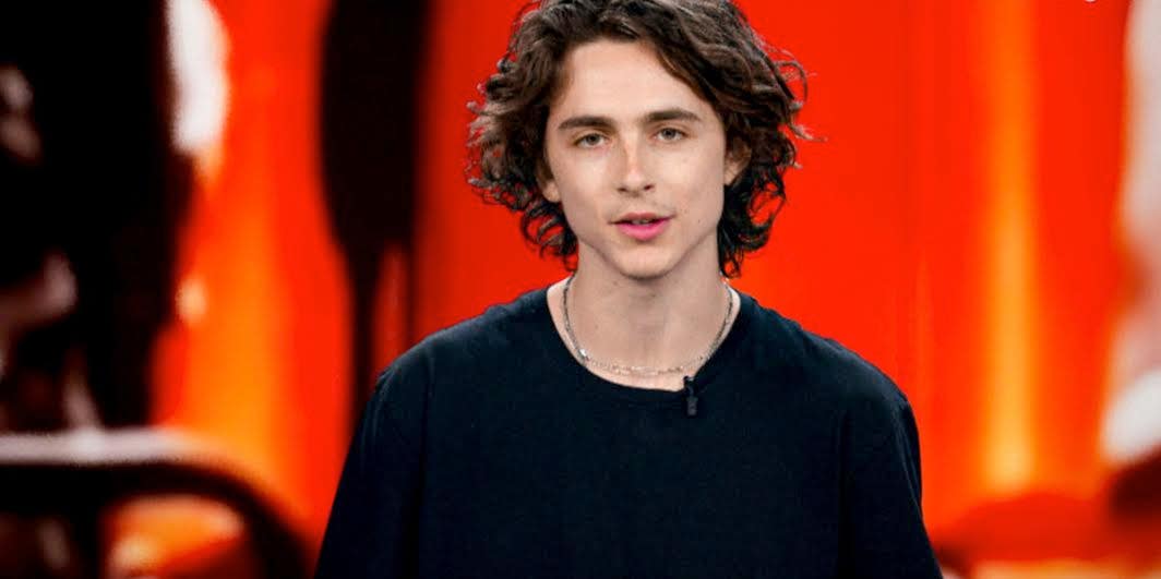 Is Timothée Chalamet Gay? Man Claims Actor Followed Him On Social Media After He Asked Him Out On Instagram