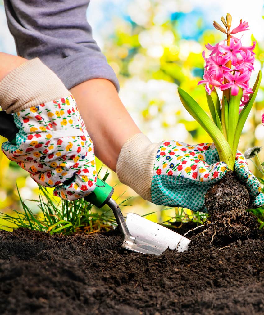 Planting a flower without using harmful chemicals