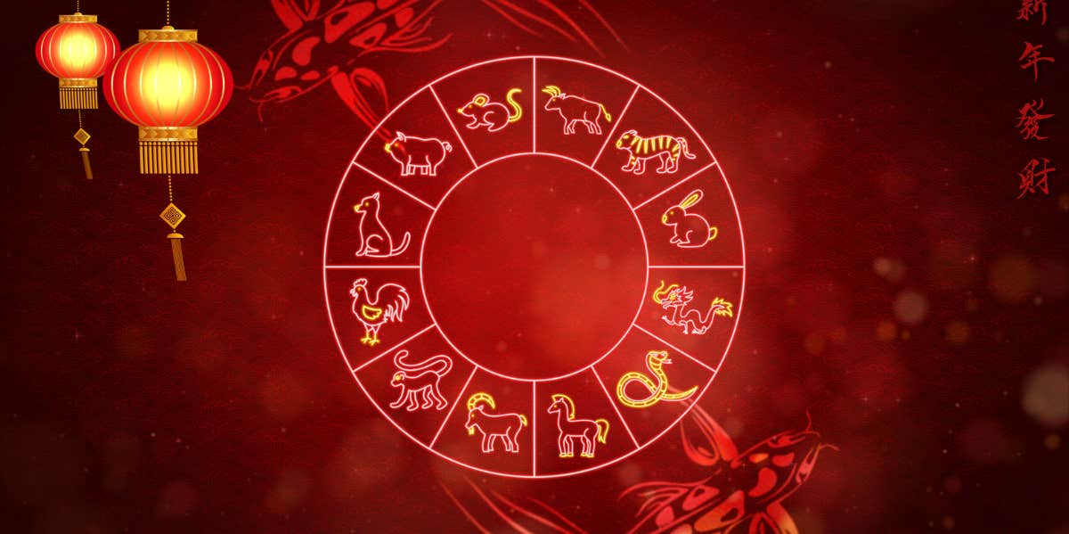 chinese weekly horoscope november 20 - 26