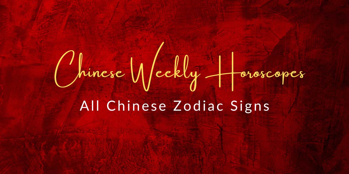 chinese zodiac sign's weekly horoscopes november 27
