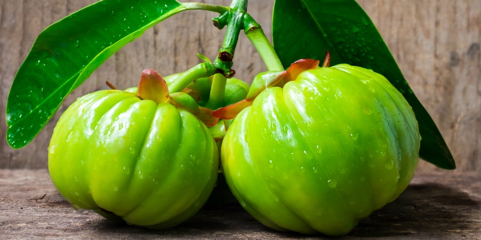 What Is Garcinia Cambogia, And What Should You Use It For?