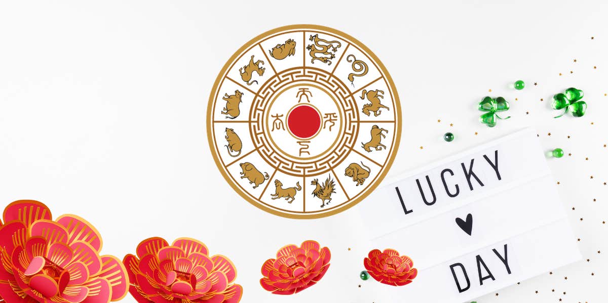 lucky day for each chinese zodiac sign november 2023