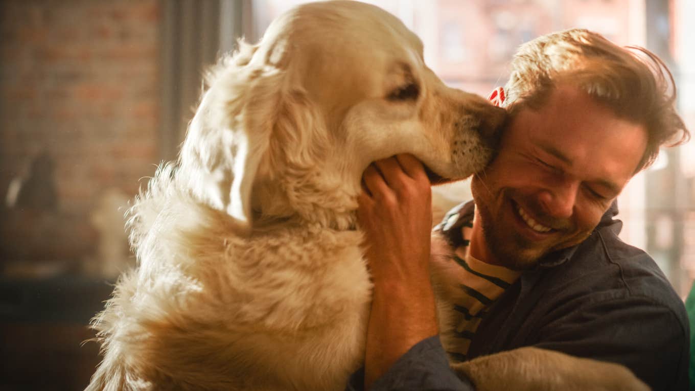 man playing with golden retriever dog 