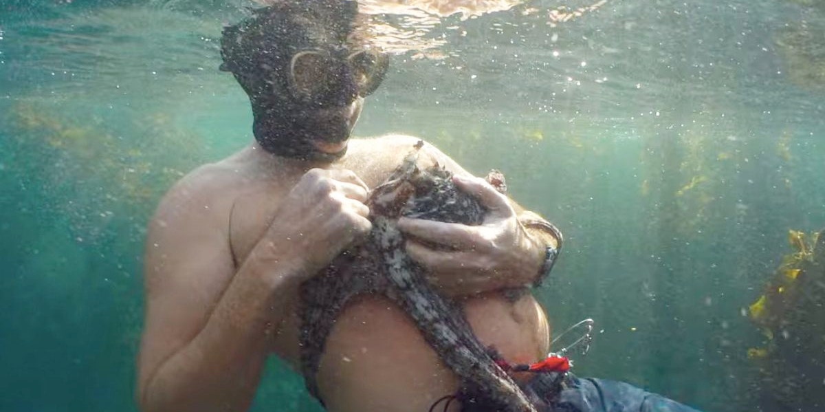 Craig Foster with the octopus in his arms