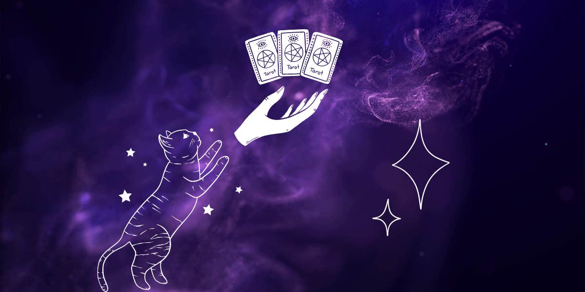  Each Zodiac Sign's One-Card Tarot Reading On February 13, 2024