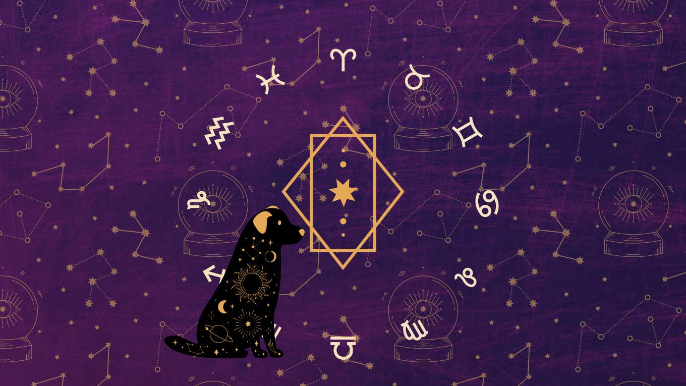 Tarot Horoscope For March 13, 2024, By Zodiac Sign