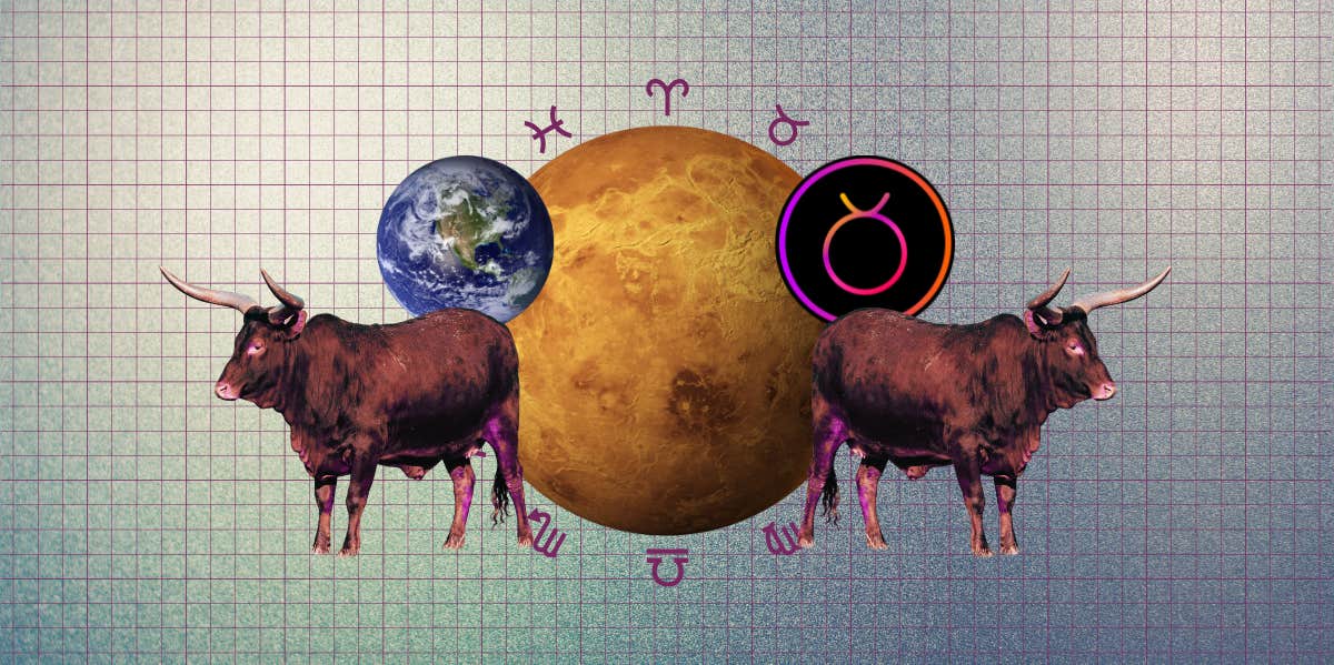 bull, taurus zodiac symbol, venus, earth, zodiac signs