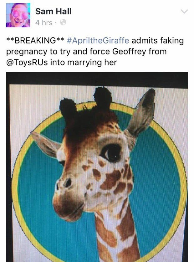 Memes About April The Giraffe That Will Make You LOL
