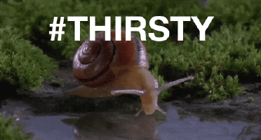 A snail drinks from a puddle with the hashtag "thirsty" (#thirsty) flashing in white text