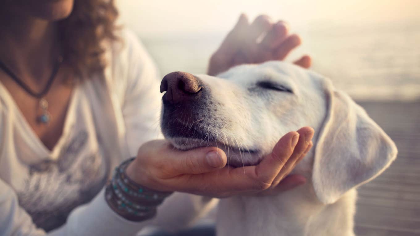 owner gently pets dog at the beach