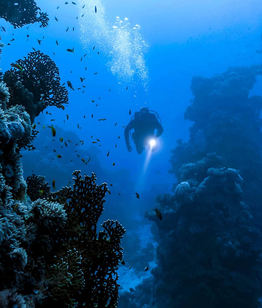 deep sea diver 