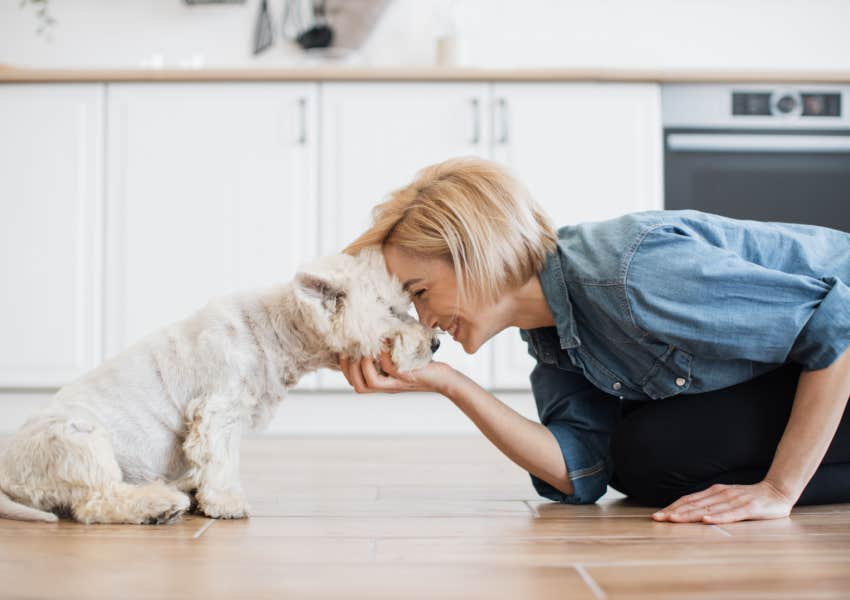 dog and owner embrace nose to nose affection