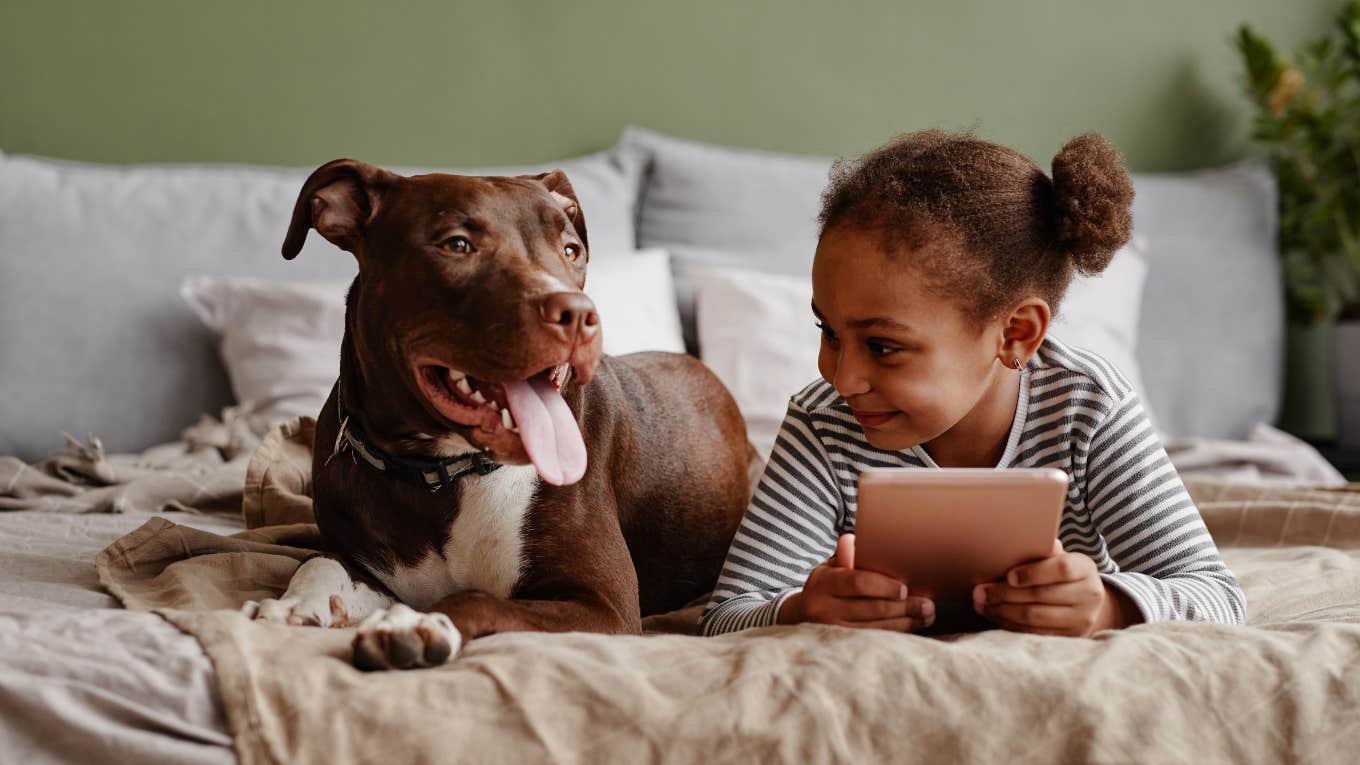 Pitbull laying with toddler on bed. 