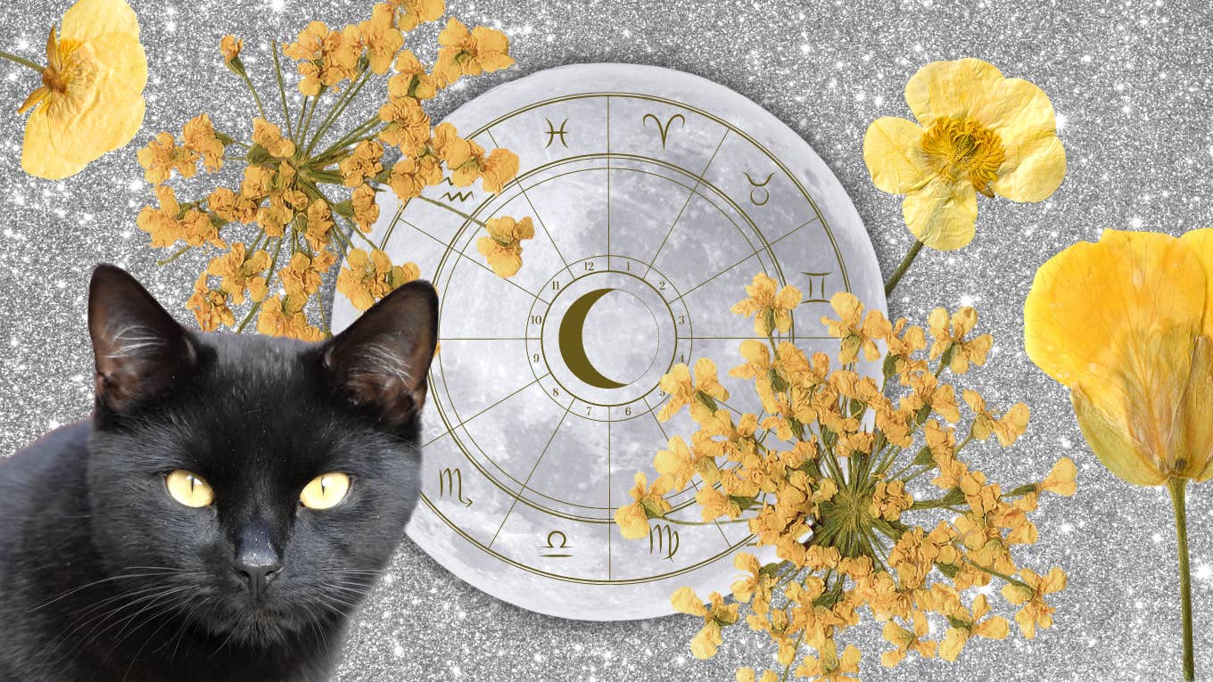 daily horoscope may 21 2024 each zodiac sign