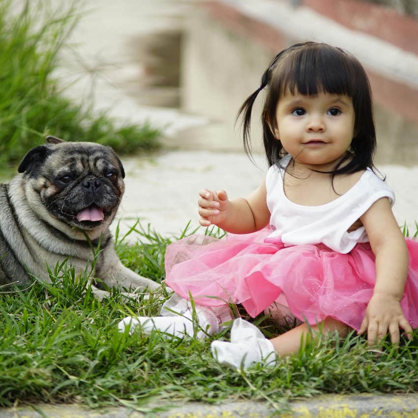 toddler with a dog 