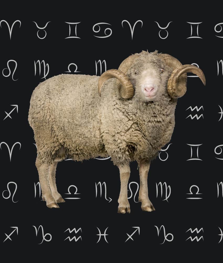  Zodiac Signs With Very Good Horoscopes On June 22, 2024