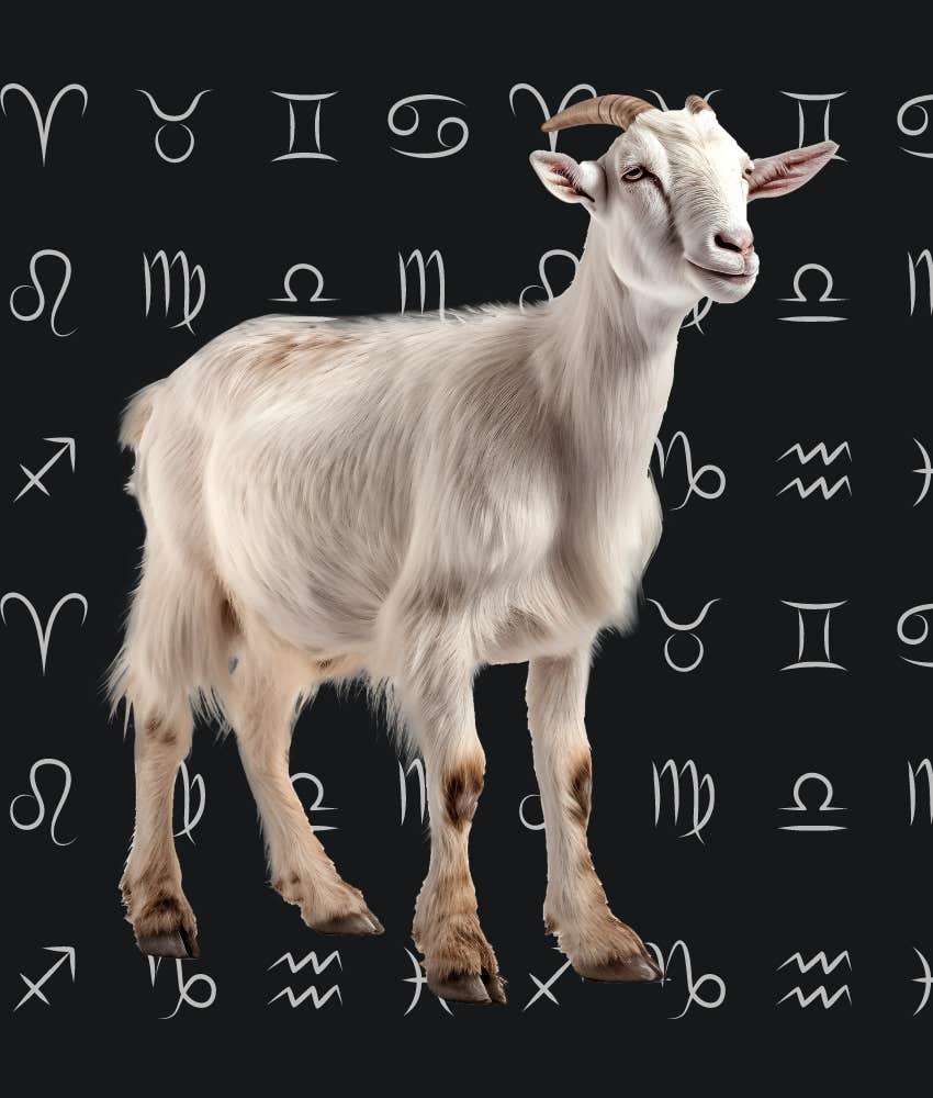 5 Zodiac Signs With Very Good Horoscopes On June 22, 2024
