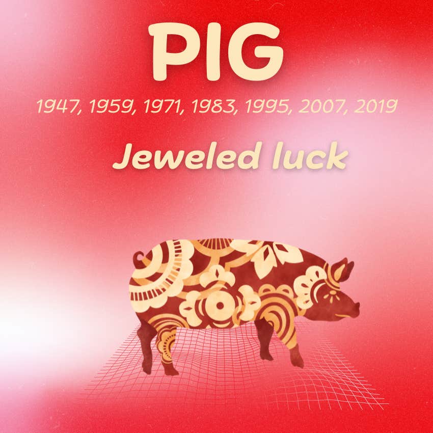 Pig Chinese Zodiac Signs Are Luckiest The Week Of July 1 - 7, 2024