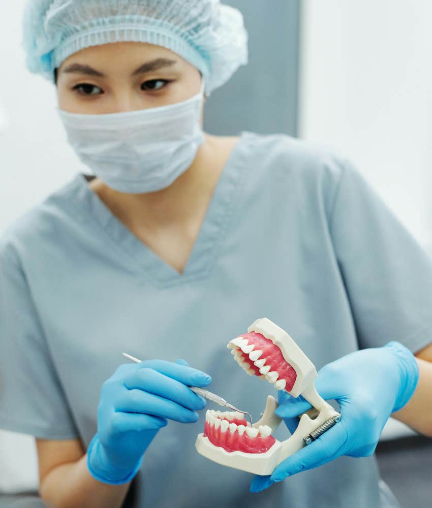 dentist holding model of teeth