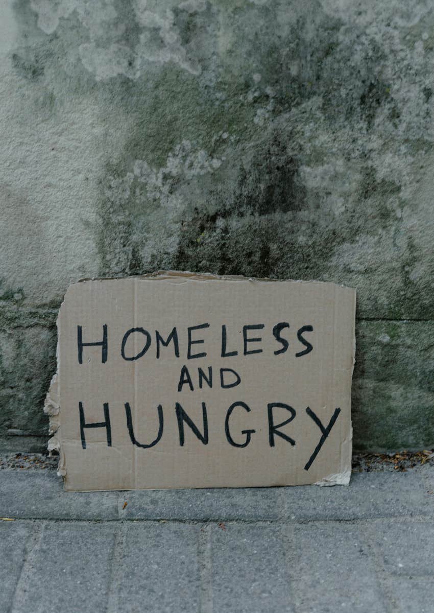 cardboard sign that reads "homeless and hungry"