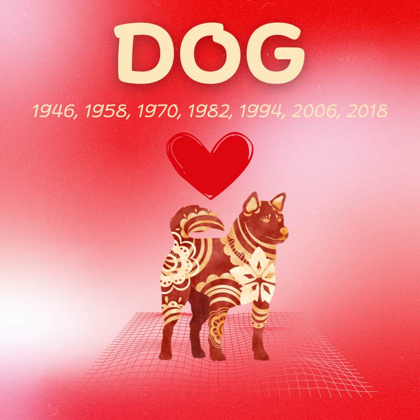 Dog Chinese Zodiac Signs That Are Luckiest In Love On July 1 - 7, 2024