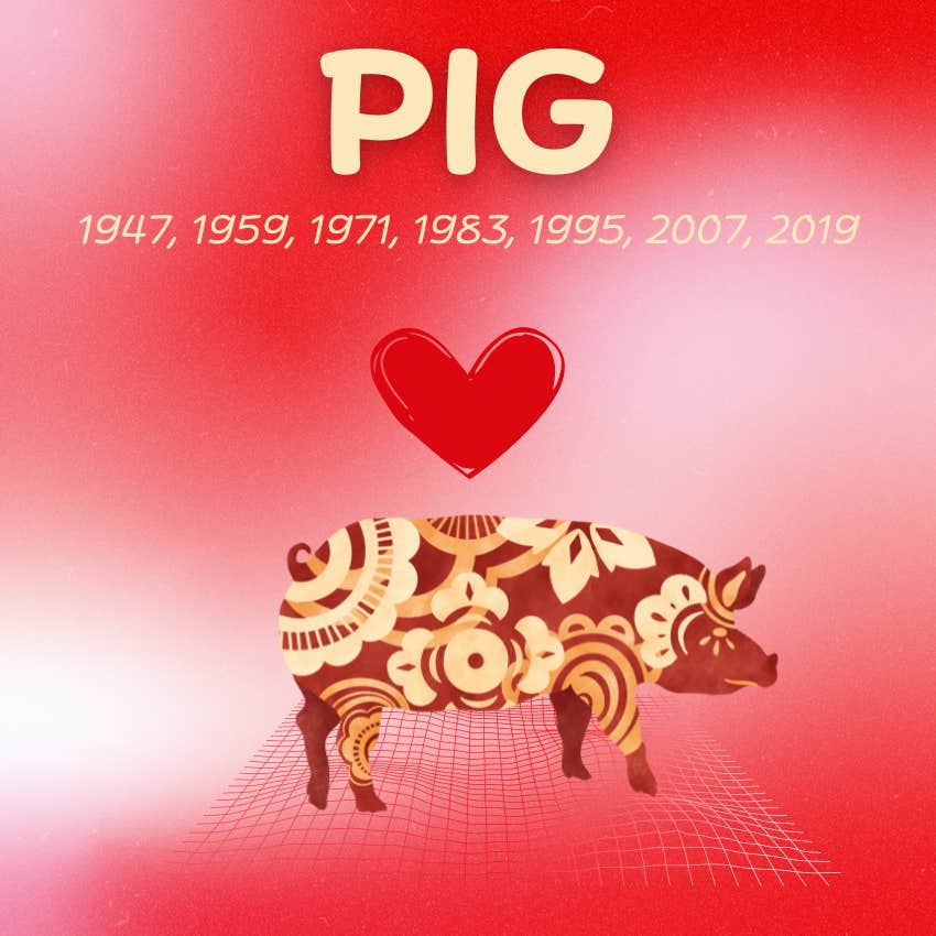 Pig Chinese Zodiac Signs That Are Luckiest In Love On July 1 - 7, 2024