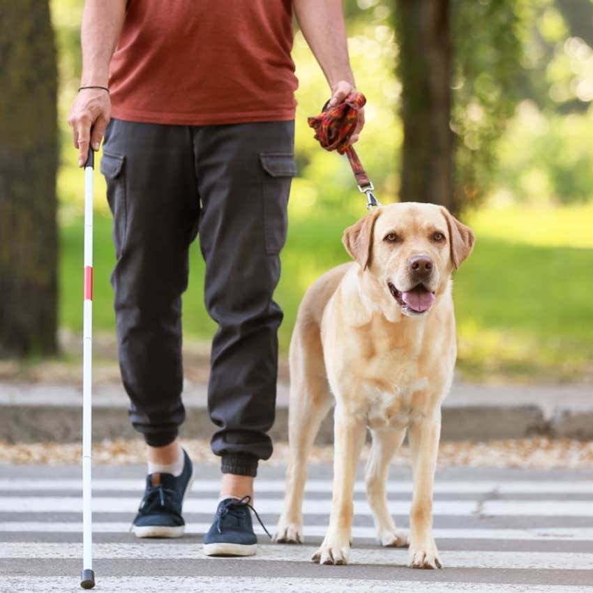 blind man with service dog walking