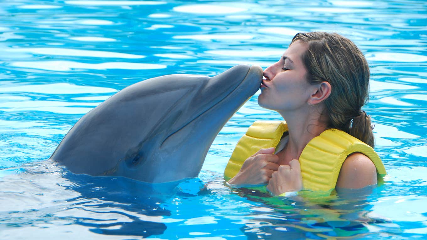 Woman swimming with dolphins in the water. 