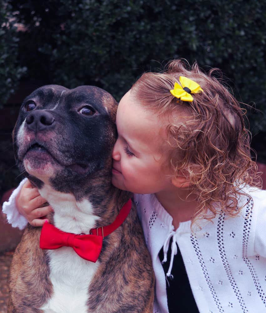 pit bull and toddler snuggling