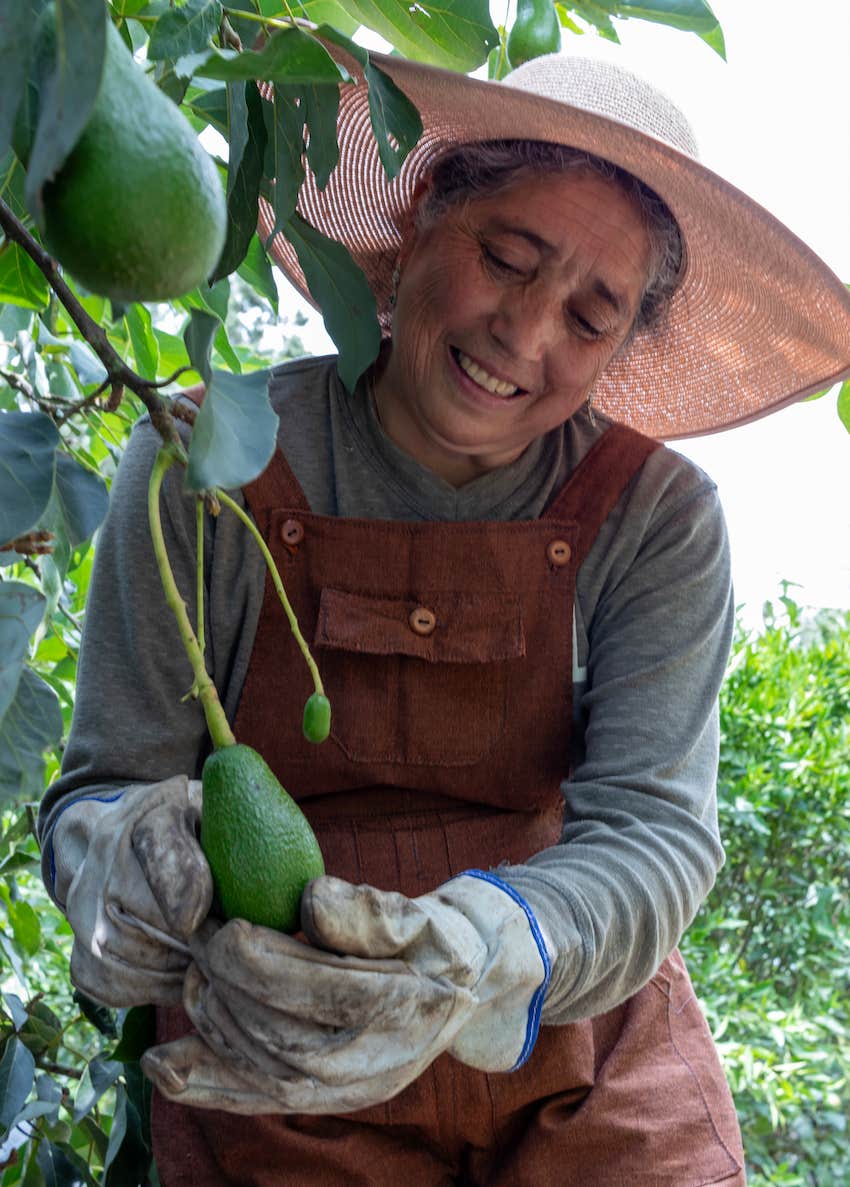 Tending the garden to fulfill emotional needs