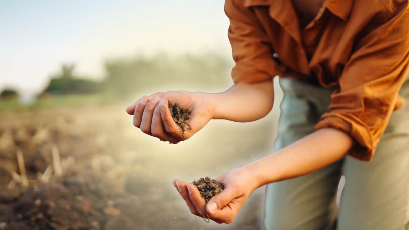 Woman touching the soil on land 