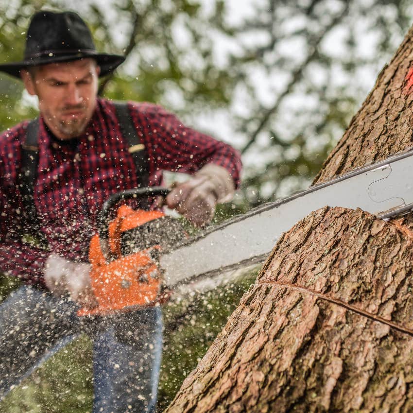 man cutting down a tree