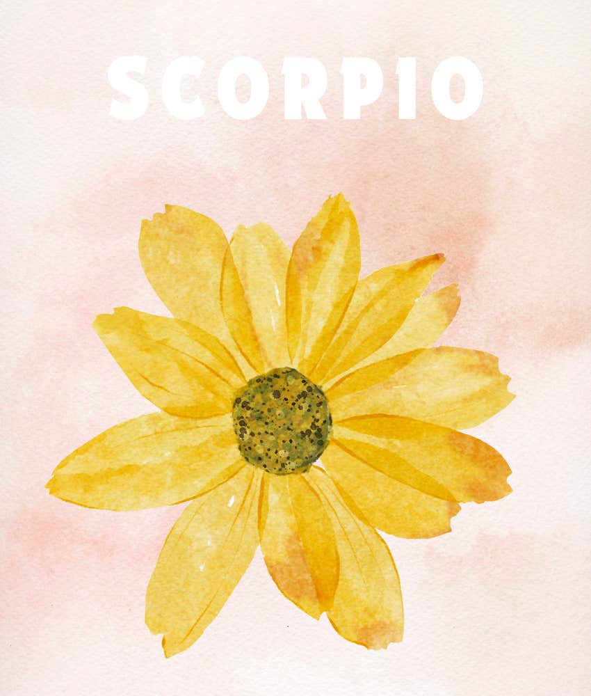 scorpio Lucky Zodiac Signs Experience Abundance On June 15