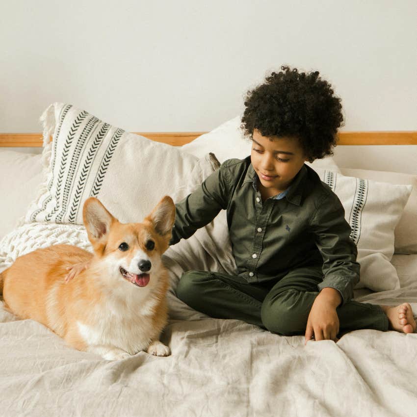 boy petting a dog in bed