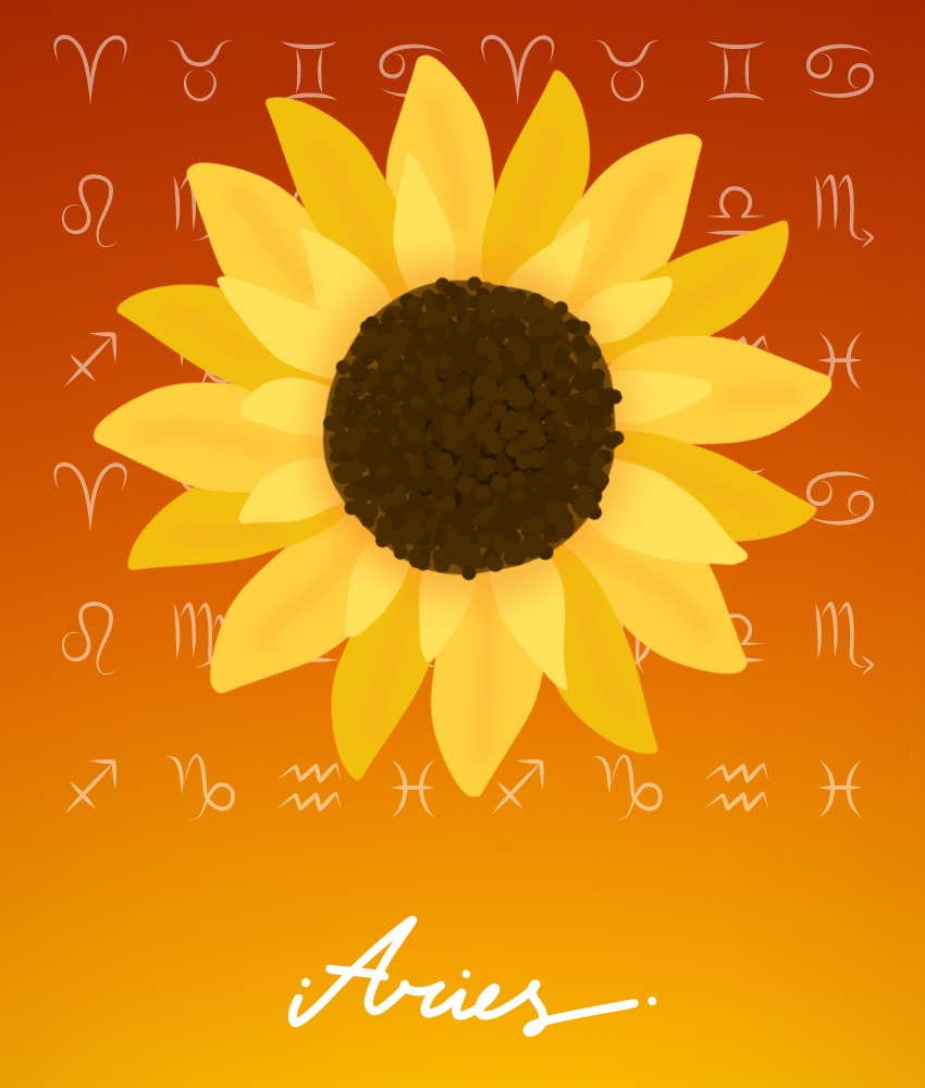 Aries Zodiac Signs With The Best Horoscopes On August 6, 2024