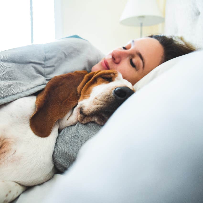 Dog and owner sharing a pillow