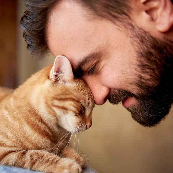 man's forehead on cat's forehead green light for women