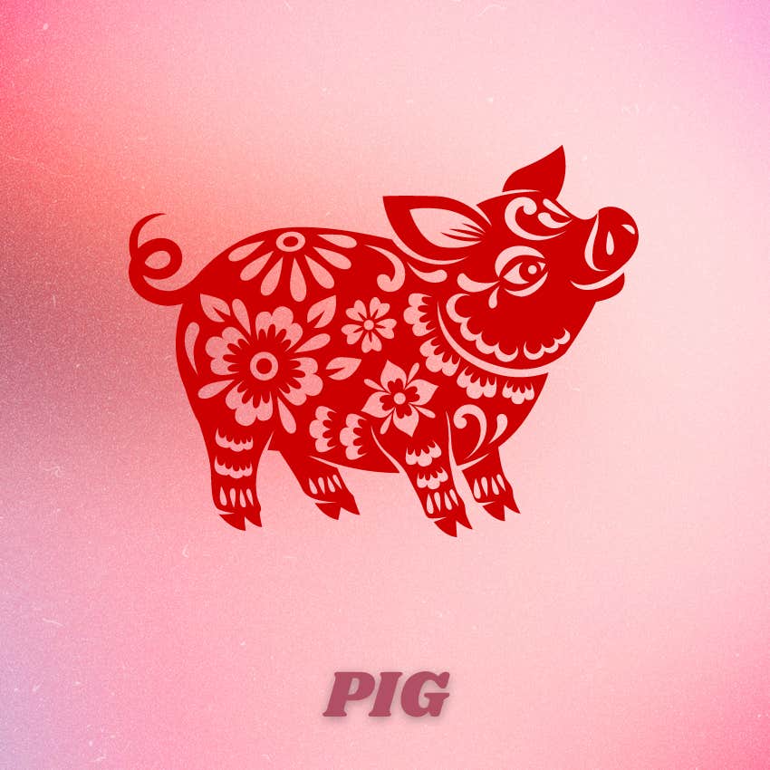 Pig Chinese Zodiac Signs Are Luckiest The Week Of July 15 - 21, 2024