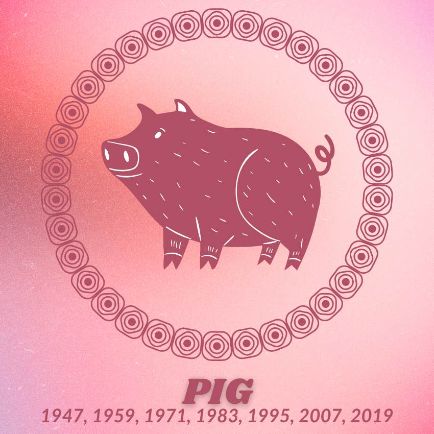 pig chinese zodiac signs weekly lucky love horoscope august 5-11, 2024