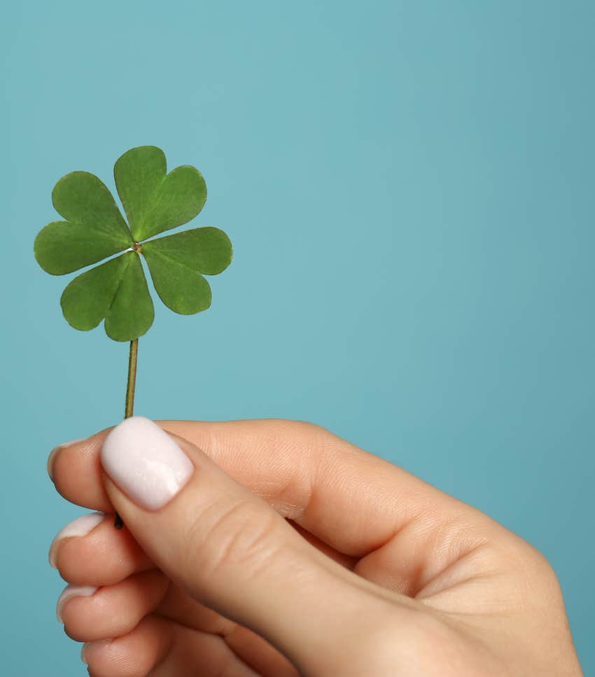 Four leaf clover for luck