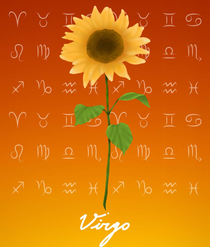 Virgo Zodiac Signs Receive Blessings From The Universe On August 4, 2024 SUNDAY