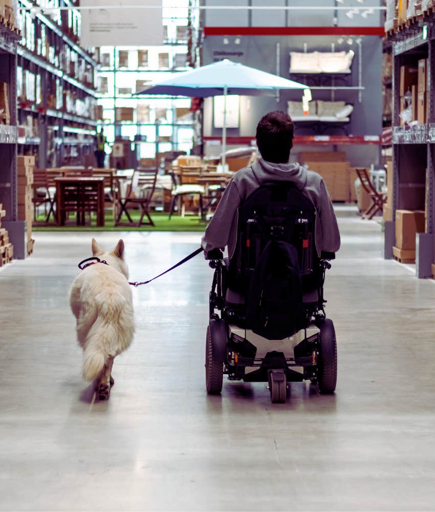 man in a wheelchair with his service dog