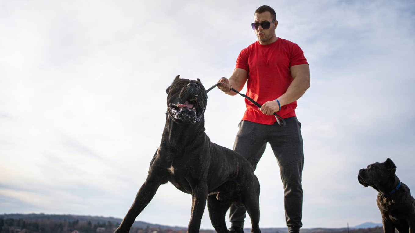 man pulling leash on dog while walking pets outside 