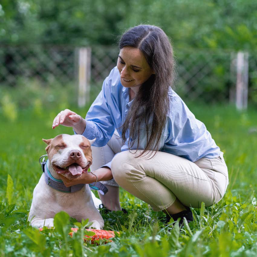 Happy pitbull after being saved by kind woman and given a better life