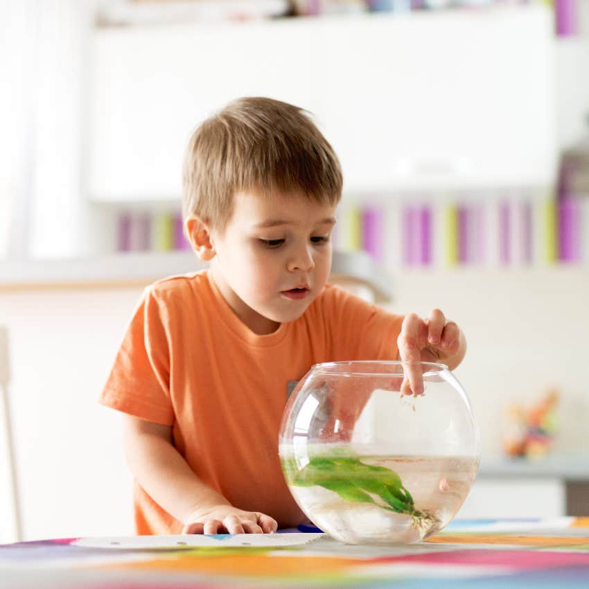 little boy feeding pet fish