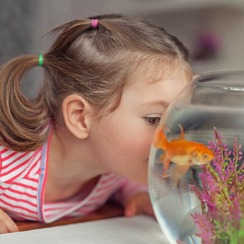 Daughter looking at decoy fish in tank