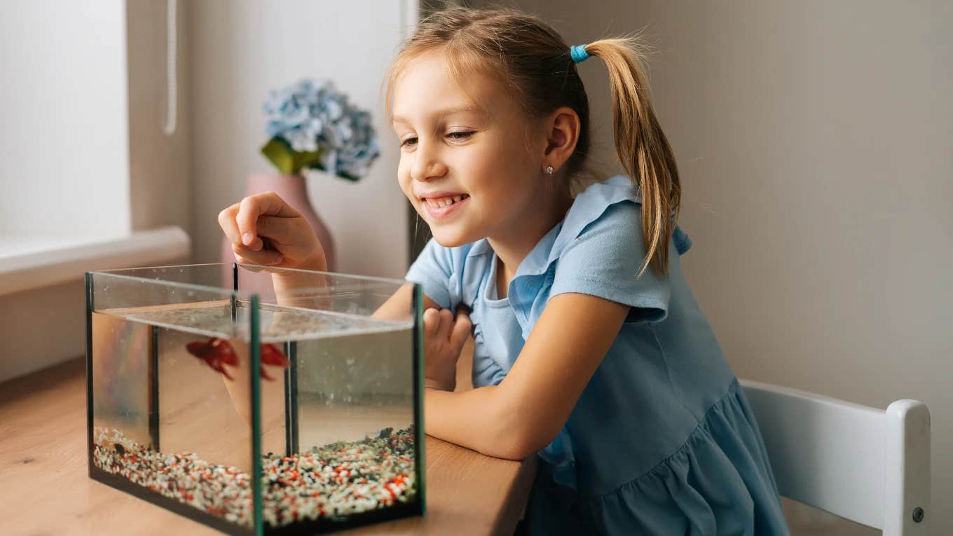 Daughter looking at decoy fish in tank