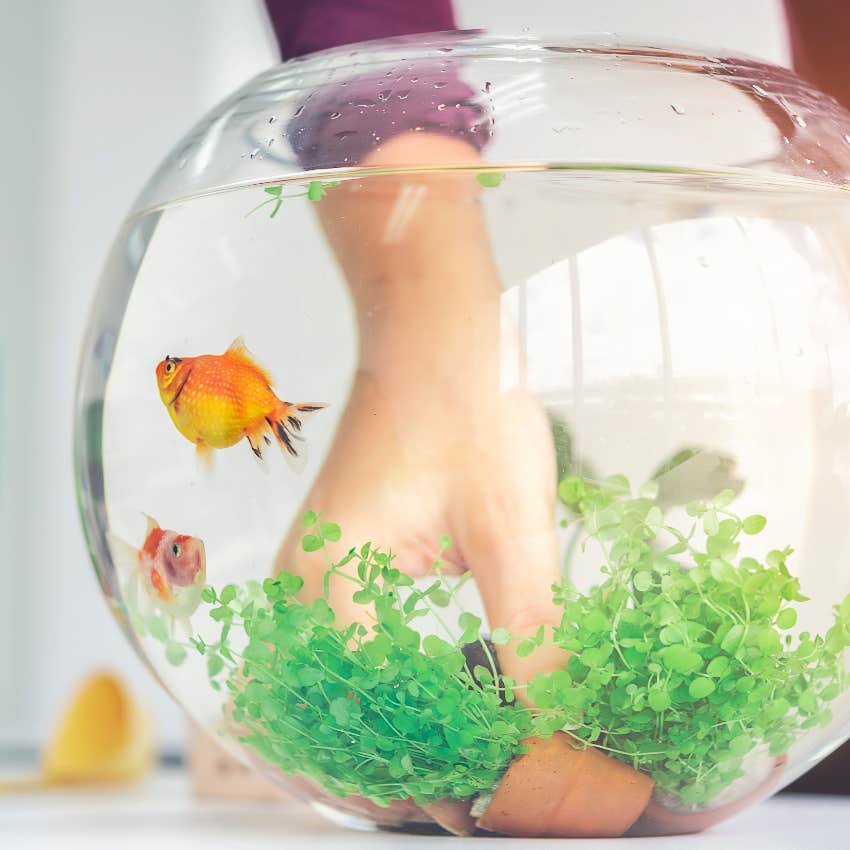 Mom cleaning tank for daughter's pet fish