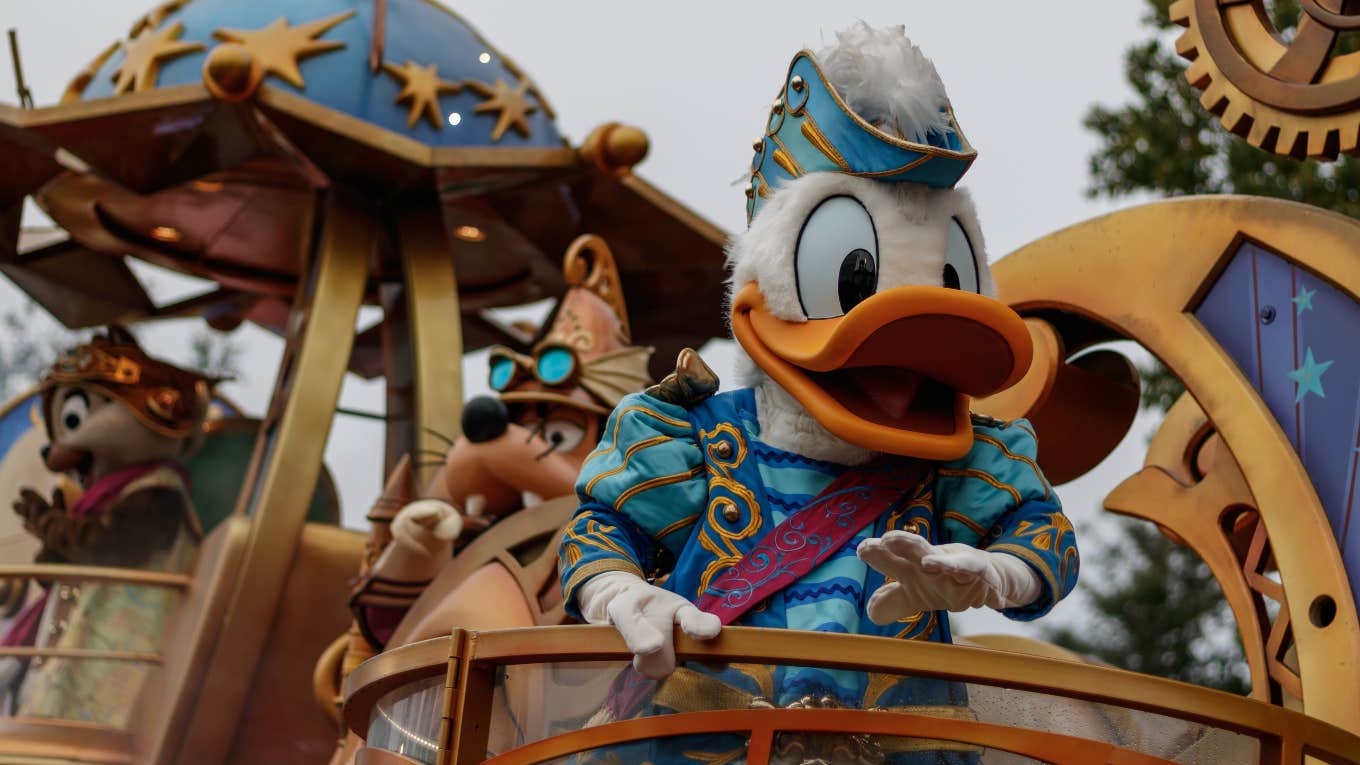 Donald Duck at Disney World