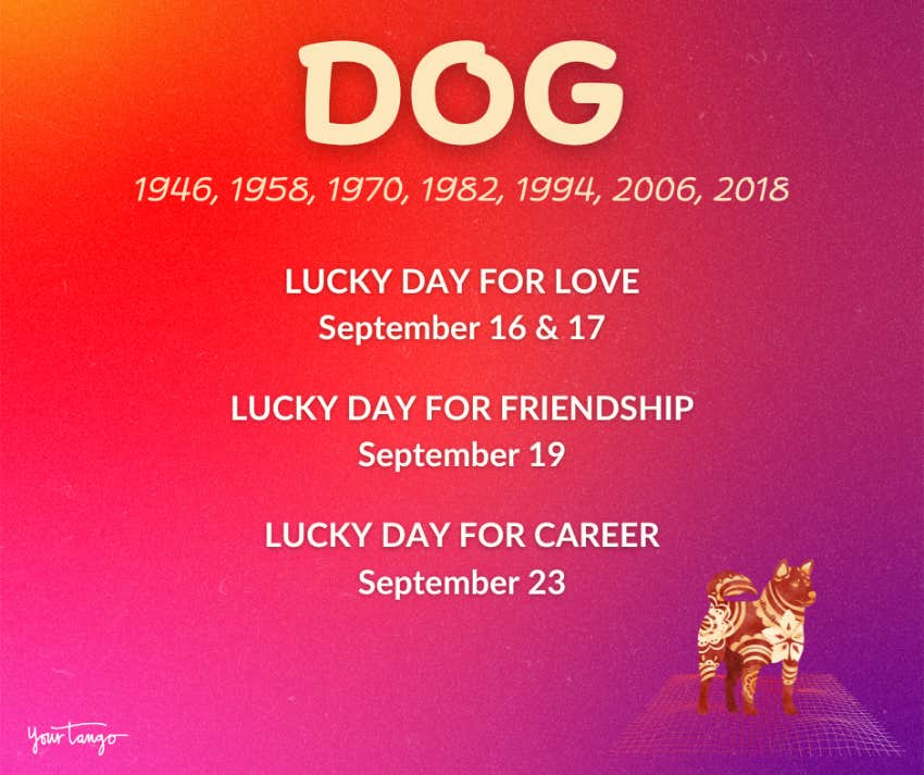 dog chinese zodiac sign horoscope september 2024